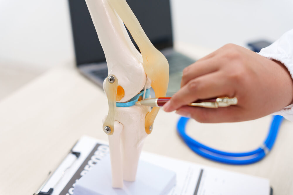Modelo anatômico de joelho com mão ajustando detalhes.