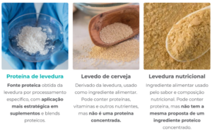 Proteína de levedura, levedo de cerveja e levedura nutricional comparados em relação ao uso, composição e aplicação em suplementos.