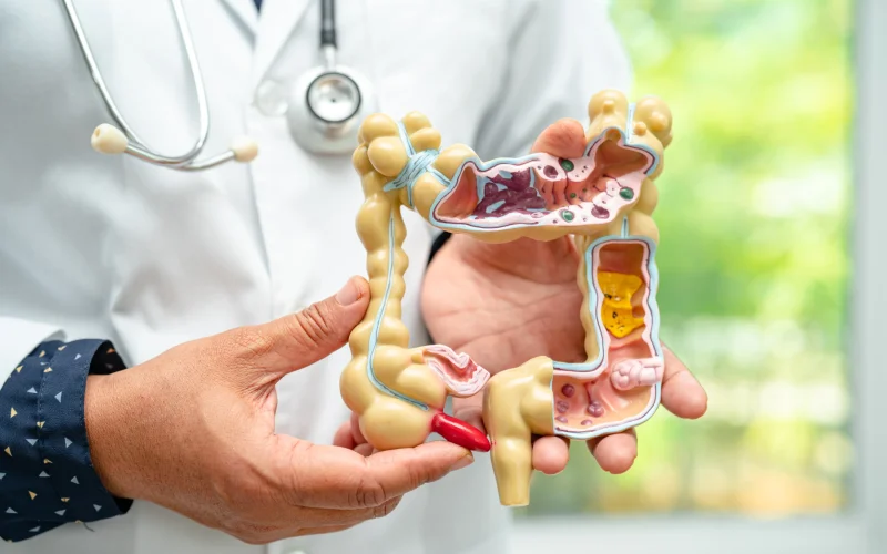 Protocolo Saúde Intestinal